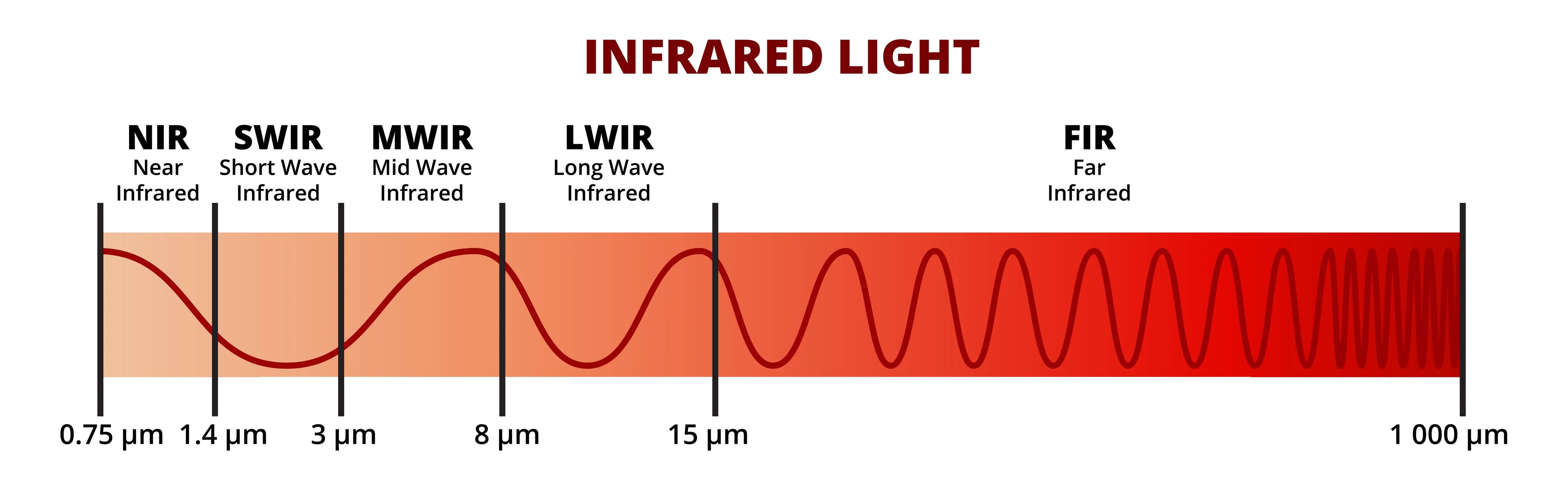Red and near-infrared LED light compared, showing how 660nm and 850nm penetrate skin to different depths